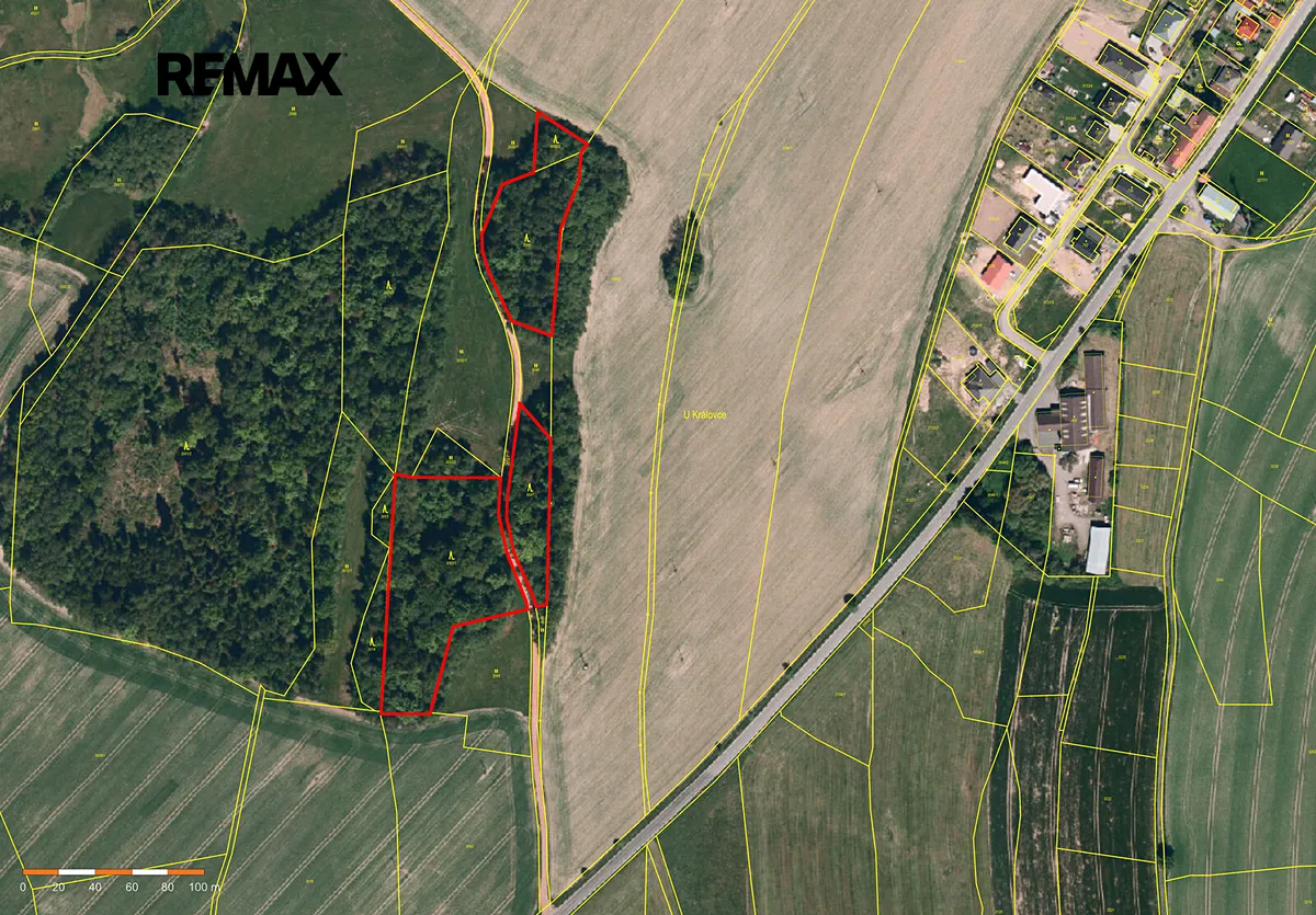 Prodej lesa 25088 m²